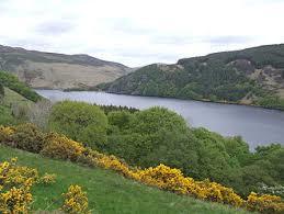 Lough Dan