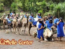 Parc à thème Camello Center