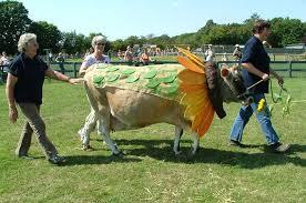 South Of England Rare Breeds Centre