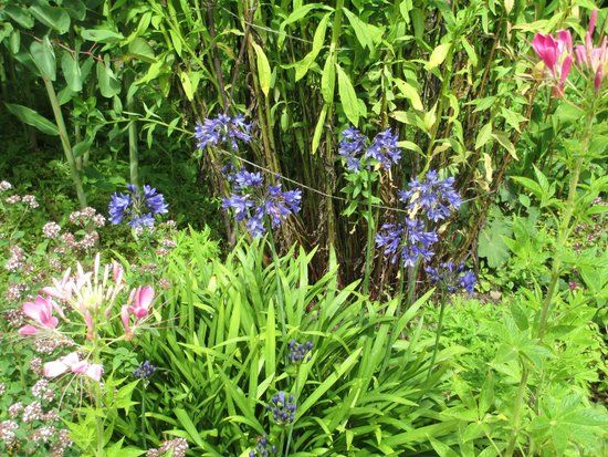 Winsford Walled Garden