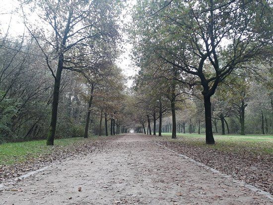 Parco Nord Milano