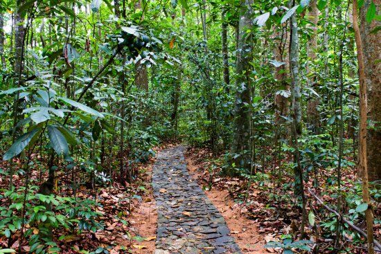 Horagolla National Park