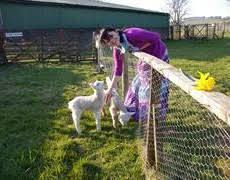 Discover Carmichael Visitors Centre