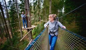 Go Ape Rivington
