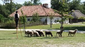 Écomusée de Marquèze