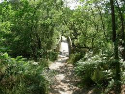 Réserve Naturelle du Courant d'Huchet