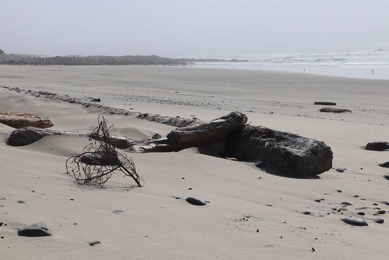 Stonefield Beach State Recreation Site