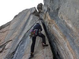 Tenailles de Montbrison