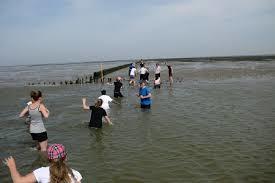 Stichting Wadloopcentrum Pieterburen