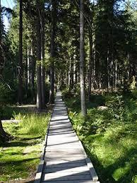 Narodowy rezerwat przyrody Rejvíz