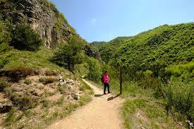 Sentiero Dei Ciclamini