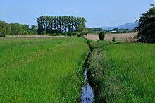 Hochholz-Kapellenbruch