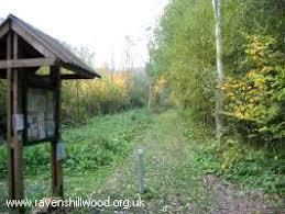 Ravenshill Woodland Reserve