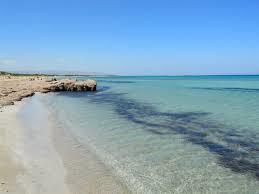 Cittadella dei Maccari