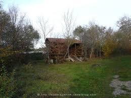 Forêt Domaniale de Bellebranche