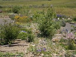 Jardin Botanique de l'Aubrac