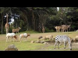 Animal Park Valcorba