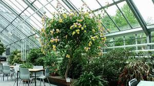 Botanischer Volkspark Blankenfelde- Pankow