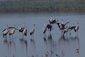 Sehlendorfer Binnensee