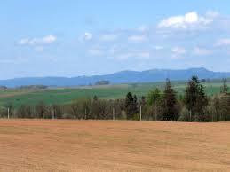 Wzgorza Scinawskie