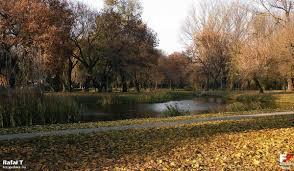 Stary Ogród w Radomiu