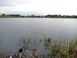 Zalew w Radzyniu Podlaskim