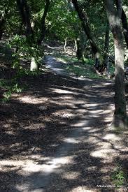 Martin Canyon Creek Trail
