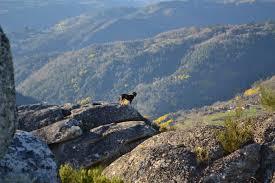 Mirador Da Pena Pombeiro