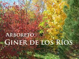 Arboreto Giner de los Ríos