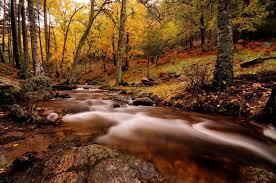 Senda Ecologica De Canencia