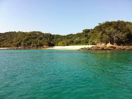 Mogo Mogo Island