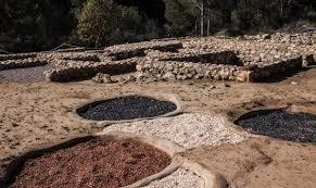 Jaciment Iberic de la Font de la Canya