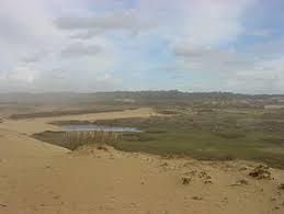 Paisagem Protegida Regional do Litoral de Vila do Conde e Reserva Ornitologica de Mindelo