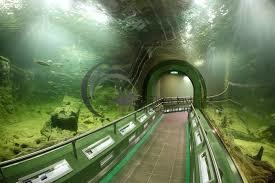 Tisza Tavi Ökocentrum