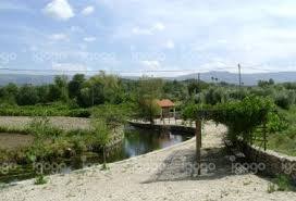 Cadoico