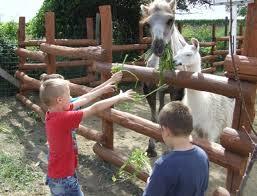 Gyongyosi Zoo Catering and Leisure Park Ltd