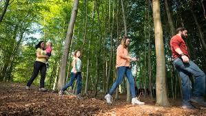 Parc Naturel Des Plaines de l'Escaut