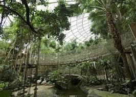Jungle Dome
