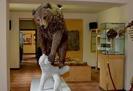 Museo dell'orso marsicano