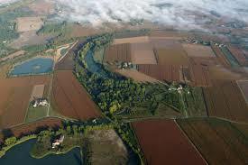Reserve naturelle nationale de l'etang de la Maziere