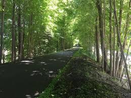Harlem Valley Rail Trail