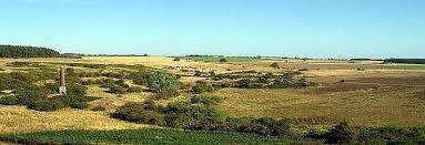 Ford Moss Nature Reserve