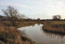 Cavenham Heath National Nature Reserve