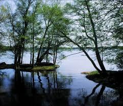 Drawski Park Krajobrazowy