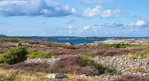 Näsbokroks naturreservat