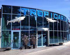 Tropicarium Kolmården