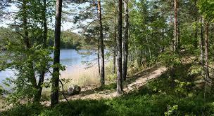 Viggeby Naturreservat