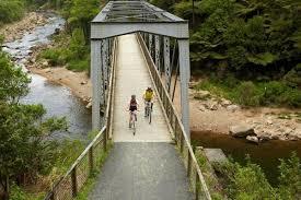 Hauraki Rail Trail