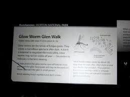 Glow Worm Glen Walk