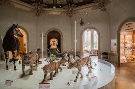 Museum des Sciences Naturelles